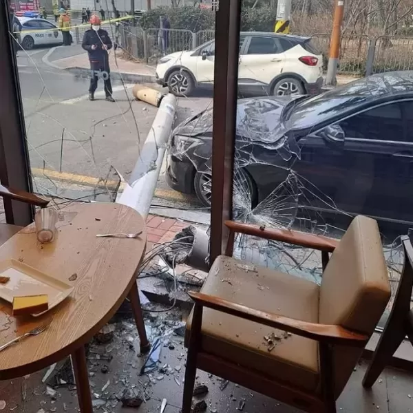 크레인에 선 걸려 카페 내부로 쓰러진 전신주... 유치원생 등 6명 부상