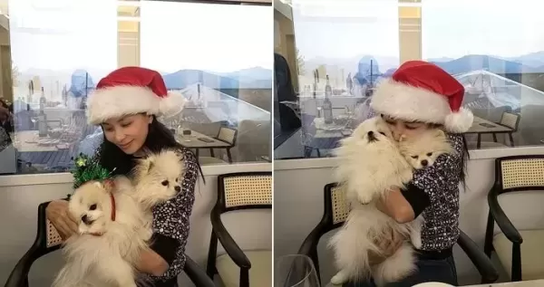 장동건♥ 고소영, 164억 집에서 딸 생일파티... 둘째가 벌써 12살