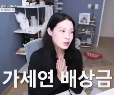 가세연 포르쉐 허위사실 방송 손해배상금 받은 조민이 포르쉐 대신 선택한 차량