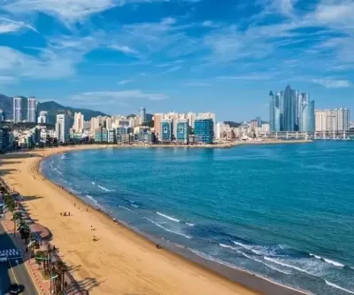 부산의 강남이라고 했는데... 해운대 아파트, 최고점 대비 40% 폭락
