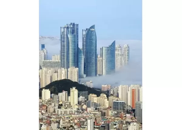부산의 강남이라고 했는데... 해운대 아파트, 최고점 대비 40% 폭락