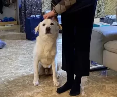 무안 제주항공 참사로 홀로 남겨진 둥이, 새 가족 만났다
