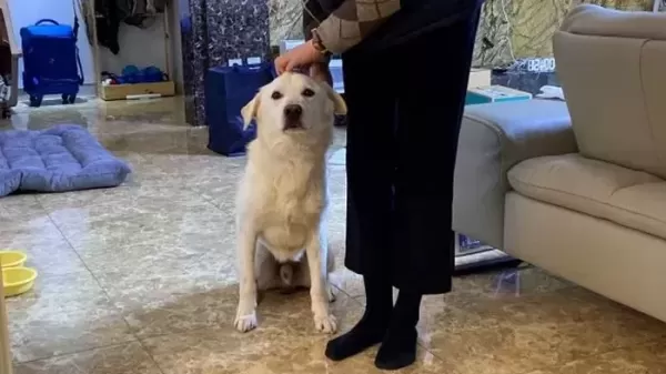 무안 제주항공 참사로 홀로 남겨진 둥이, 새 가족 만났다