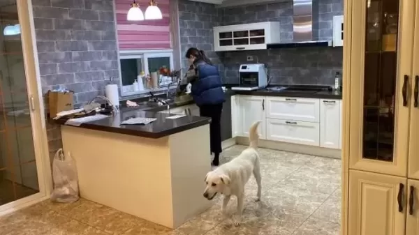 무안 제주항공 참사로 홀로 남겨진 둥이, 새 가족 만났다