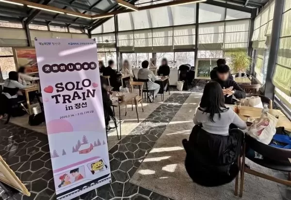 솔탈 꿈꾸는 지원자 309명 몰린 정선행 코레일 커플열차... 커플 5쌍 탄생