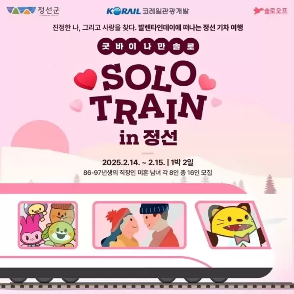 솔탈 꿈꾸는 지원자 309명 몰린 정선행 코레일 커플열차... 커플 5쌍 탄생