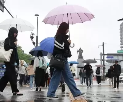3·1절, 전국 비 온다... 3월 3일부터는 다시 꽃샘추위·대설