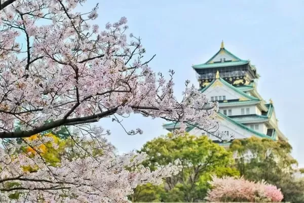 한국인 관광객 많아지더니... 일본 정부, 출국세 대폭 인상 검토 중