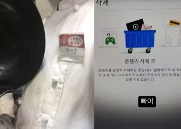 성폭행 무고 당했다는 한일혼혈 120만 유튜버... 불송치 결정문 공개 후 채널 삭제