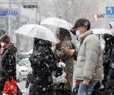 삼일절 연휴에 전국 비 또는 눈... 강원도엔 최대 50cm 눈폭탄 쏟아진다