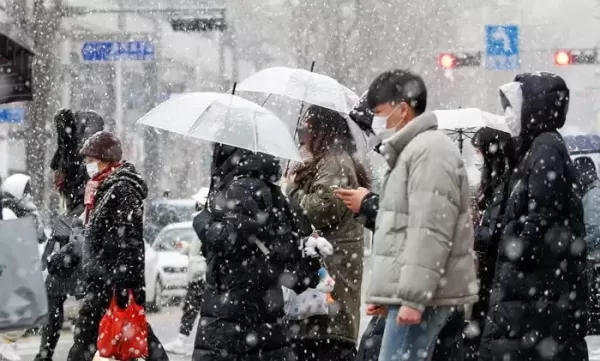 삼일절 연휴에 전국 비 또는 눈... 강원도엔 최대 50cm 눈폭탄 쏟아진다