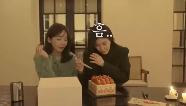 65억 건물주 강민경, 현금박치기로 샤넬 명품백 사서 이해리에 선물