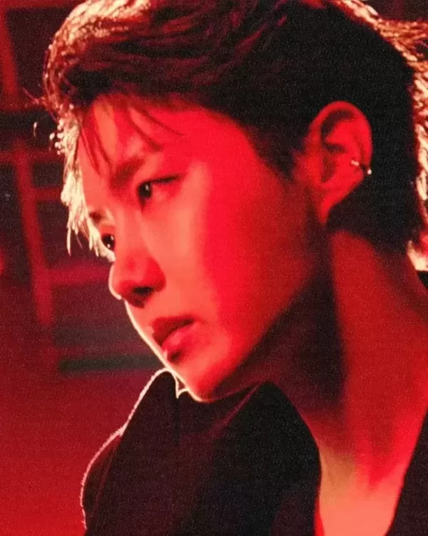 BTS 제이홉, 입 떡 벌어지는 럭셔리 LA 집 최초 공개... 수영장 딸린 대저택