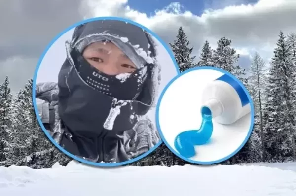 출입 금지 산 타다 조난 당한 남성, 이것 먹으며 10일 버텨... 극적 구조