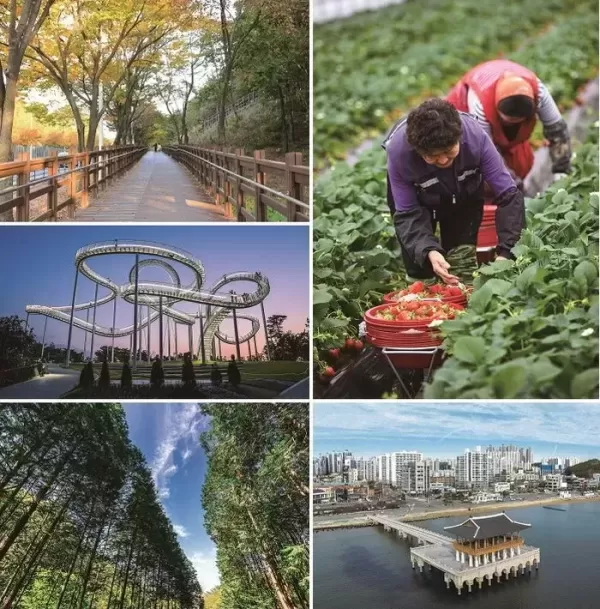 국내 여행 꼭 가봐야 할 곳 100곳... SRT매거진 추천