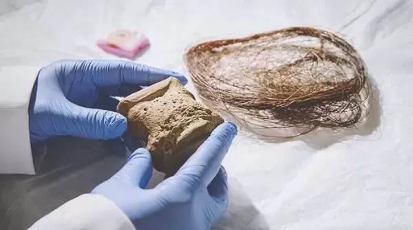 멸종한 매머드·도도새 되살리기 위해 수천억원 투자 끌어모으고 있는 회사의 정체