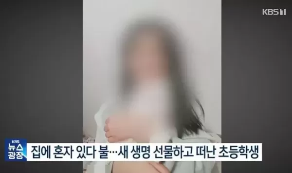 수의사 꿈꾼 딸, 착한 아이로 기억되길...빌라 화재 초등생, 장기 기증하고 떠났다