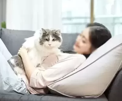 고양이 XX 오래도 사네... 아이 낳은 후, 15년 키운 반려묘 냄새 나 정떨어졌다는 여성의 글