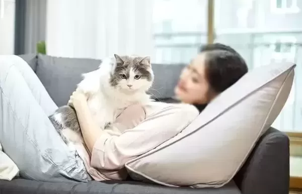 고양이 XX 오래도 사네... 아이 낳은 후, 15년 키운 반려묘 냄새 나 정떨어졌다는 여성의 글