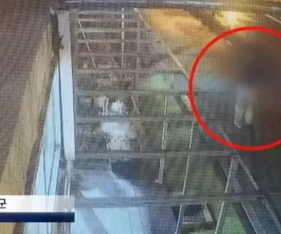 돈 잃어 스트레스... 산책하던 여성 묻지마 살인한 30대