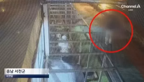돈 잃어 스트레스... 산책하던 여성 묻지마 살인한 30대