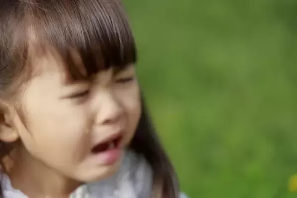 여행 내내 4살 조카랑 잔 동생에 숙박비 더치페이 하자는 오빠 부부 동생이 쪼잔 vs 양심없는 오빠