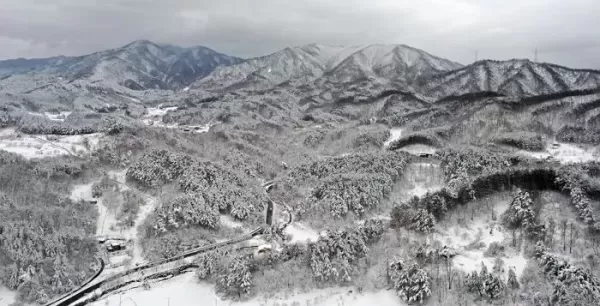 새 학기 첫날인 오늘(4일), 눈 내리는 서울... 강원도는 5일까지 최대 1m 눈 폭탄 예고