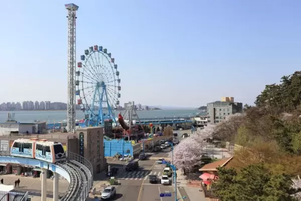 요즘 20대들 원픽 관광지, 에버랜드 아니었다... 젠지세대가 가장 많이 놀러간다는 이곳