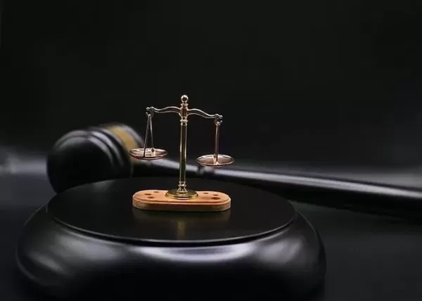 구글이 모셔간 코딩 천재 소년, 합격 안 시켜준 美 명문대 상대 소송 건 이유