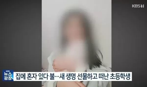 집에 혼자 있다 화재로 숨진 초등학생 빈소 친구들 오열로 울음바다... 외롭지 않게 잘 지냈으면