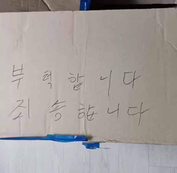 3년 동안 함께 살다 출산하자... 성남시 공원에 새끼와 같이 버려진 어미견