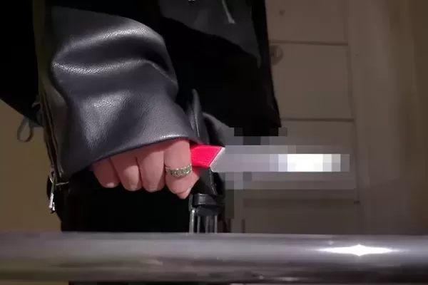가사도우미 이용한 질투심 작전으로 재혼 성공한 남성... 결혼 후 해고했다가 흉기에 숨져