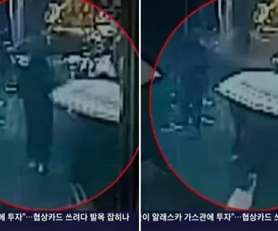 갑자기 쓰러진 식당 통창에 깔린 여성... 합의금 380만원 거부한 업주, TV 나온 스타세프였다