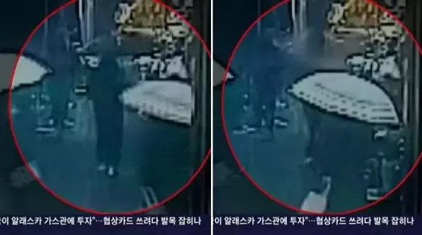 갑자기 쓰러진 식당 통창에 깔린 여성... 합의금 380만원 거부한 업주, TV 나온 스타세프였다
