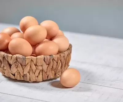 순두부집에 등장한 날달걀 빌런... 이마로 달걀 깨 놓고 삶은건 줄, 옷 값 내놔!