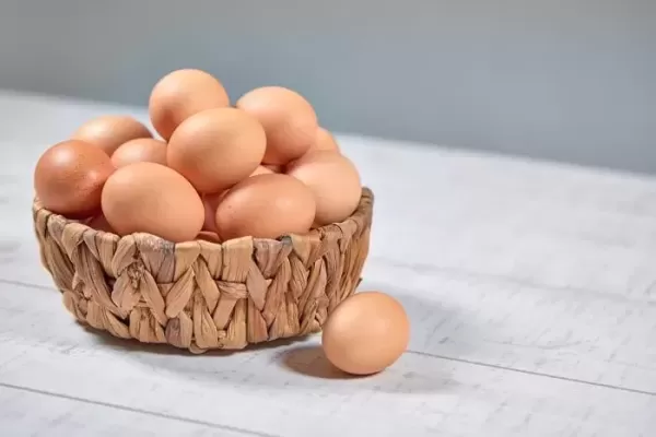 순두부집에 등장한 날달걀 빌런... 이마로 달걀 깨 놓고 삶은건 줄, 옷 값 내놔!
