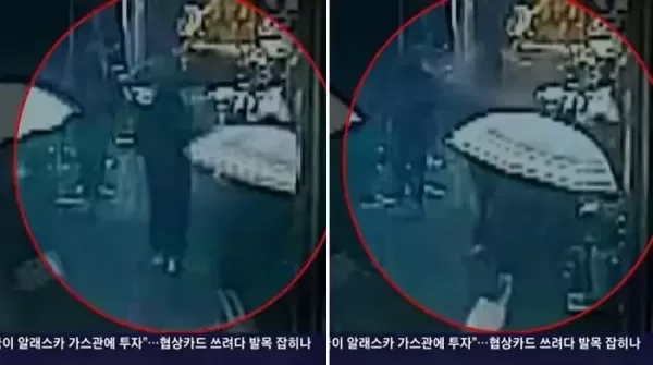 레스토랑 통창에 깔렸는데 합의금 안 준 유명 셰프... 이찬오 소환된 이유