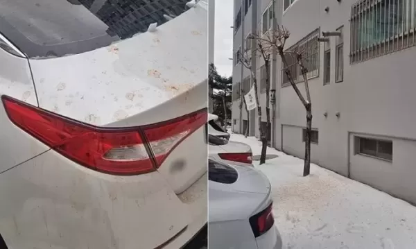 누군가 던진 음식물에 차가 엉망이 됐습니다... 춘천의 한 아파트서 발생한 음쓰테러