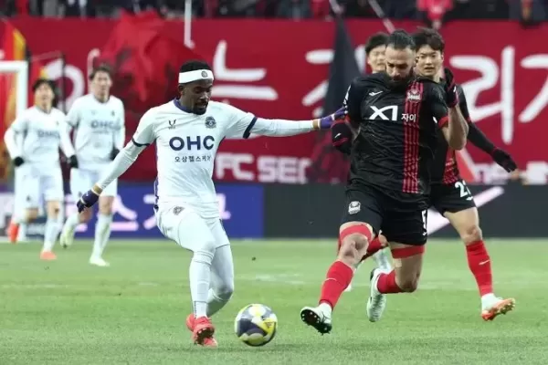 상암 잔디 구하려 서울시 나섰다... 33억 예산 투입해 긴급 복구 진행