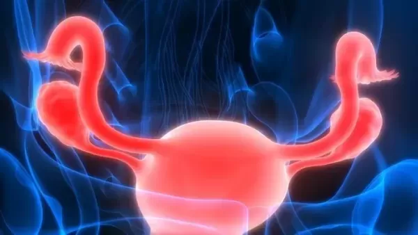 체중 20kg 감량하고 20살 어려진 여성의 비포&amp;에프터 사진... 반응 폭발