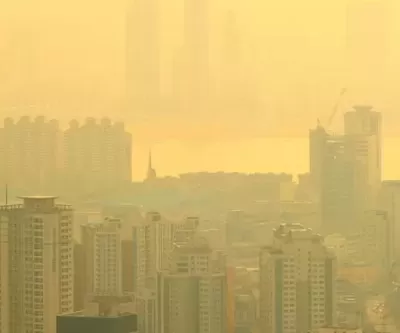 초미세먼지 기승 부릴 때 야외활동 자제해야 하는 이유... 노출되면 우울증 유발할 수 있다