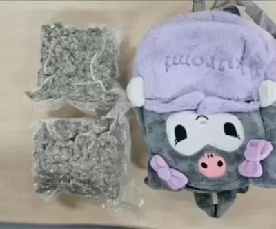 베트남 국적 불법체류자, 인형 속에 대마초 1kg 밀수하다 딱 걸려