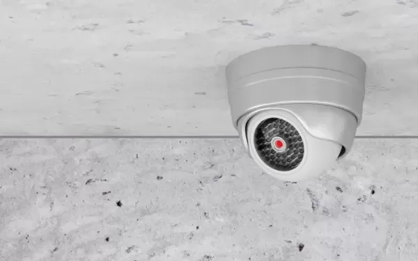 24시 무인카페 불 끄고, 영화 본 20대 커플... 사장님이 공개한 CCTV 장면