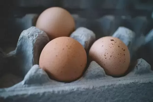 달걀 한 알에 1800원까지 치솟자 한국 달걀까지 수입해다 먹는 미국 상황