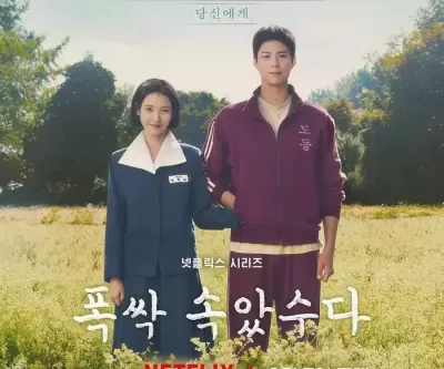 아이유·박보검 조합 통했다... 폭싹 속았수다, 12개국 1위 등극