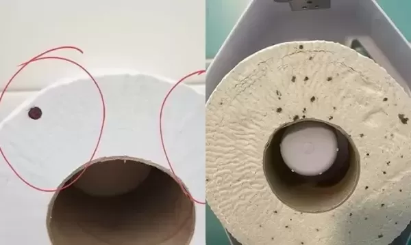 해외 화장실에서 화장지 옆면 꼭 확인하세요 경고 나오는 소름돋는 이유