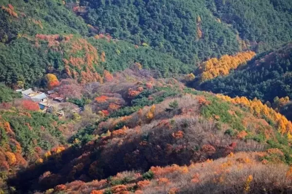 모악산 등산간 50대 남성 실종... 경찰, 대규모 수색 착수