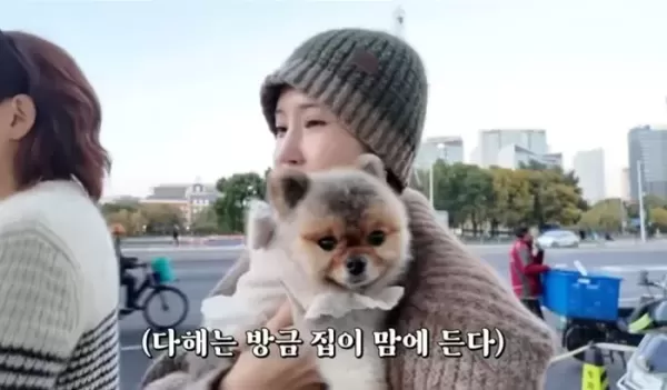 결혼 2년차 이다해♥세븐, 이사갈 집 찾으면서 영어유치원 언급... 팬들 2세 계획?