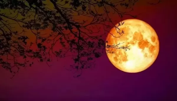연인과 심야 데이트 하자! 화이트데이인 14일, 올봄 첫 보름달 뜬다